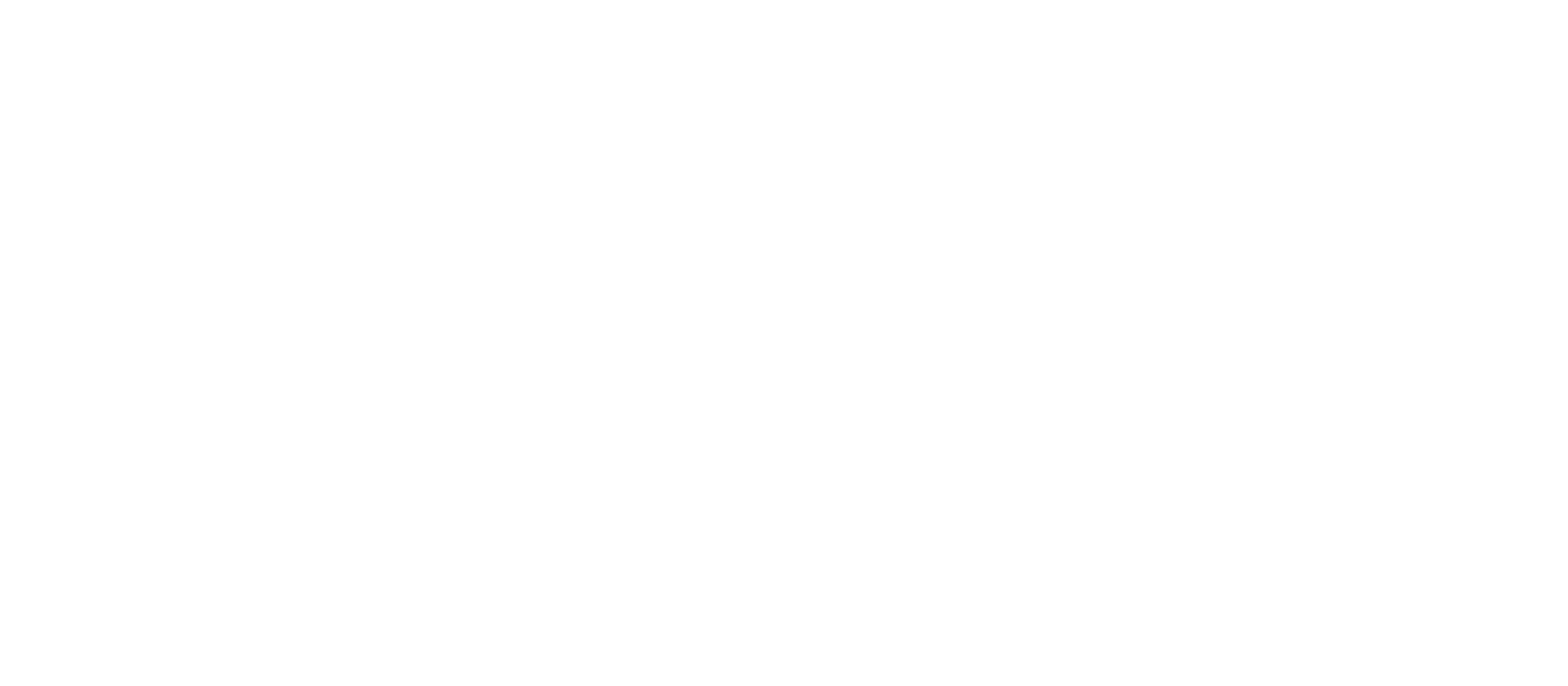 IX CURSO